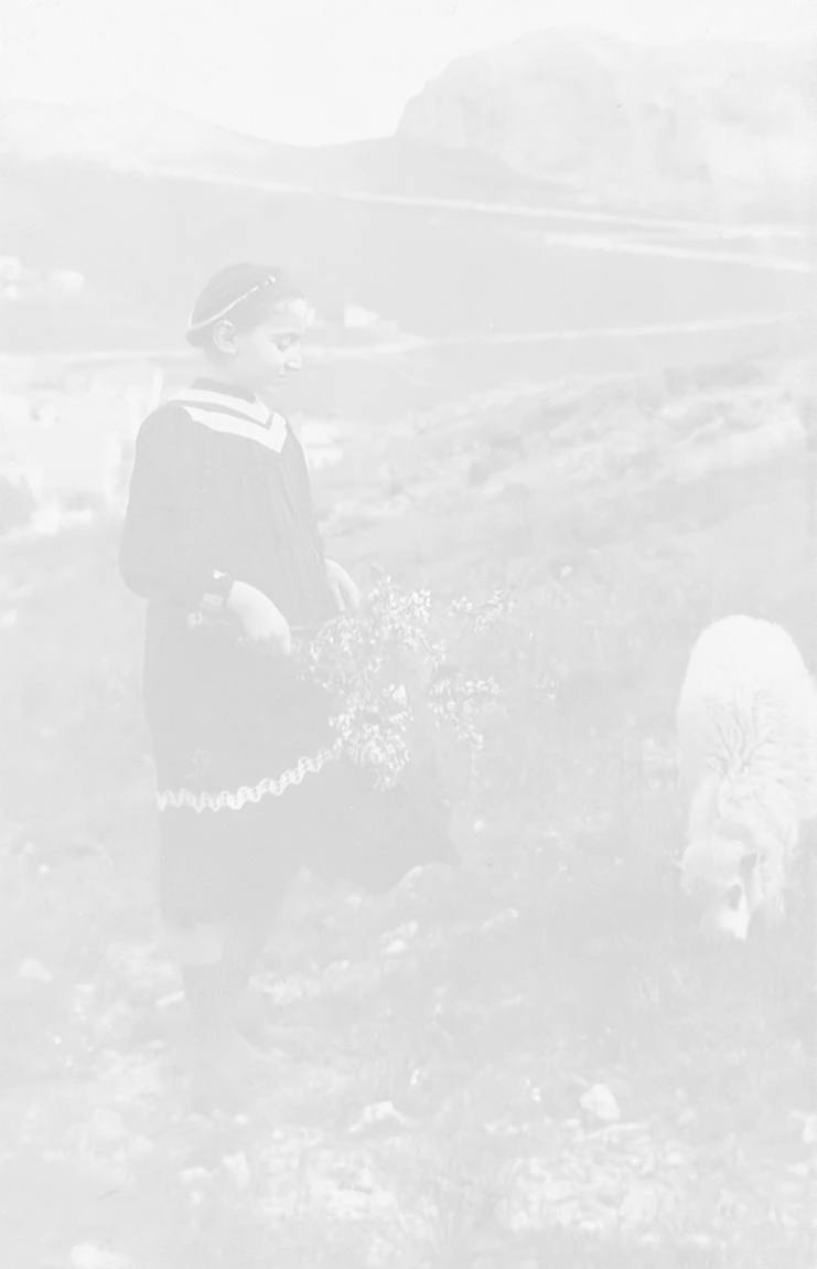 Στον λόφο του Στρέφη με ένα προβατάκι και τα σπίτια της Νεάπολης στο βάθος, π. 1910. Αρχείο οικογένειας Λάβδα