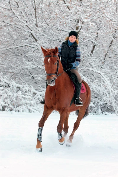  Βόλτα με άλογα μπορείτε να κάνετε στη φάρμα της οικογένειας Αρβανίτη λίγο έξω από τη Στεμνίτσα