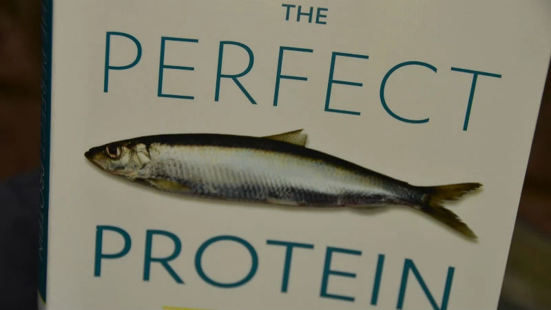 «The Perfect Protein»