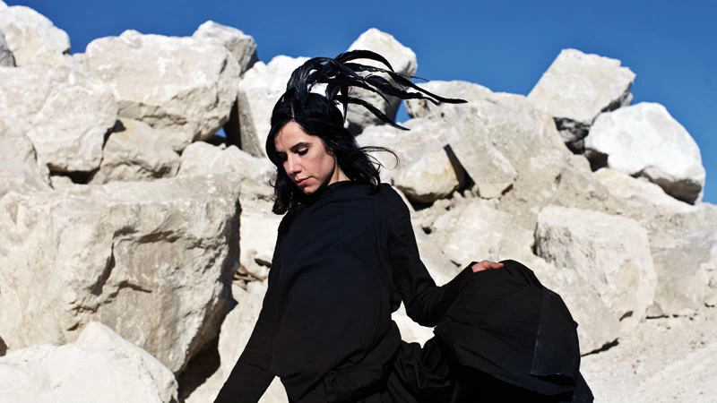  PJ Harvey