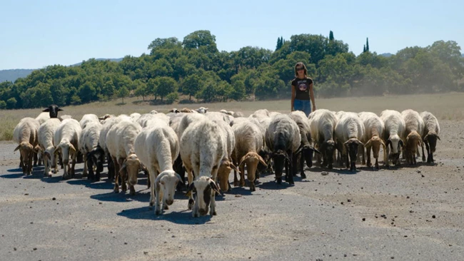 Αναγνώριση της μετακινούμενης κτηνοτροφίας από την UNESCO