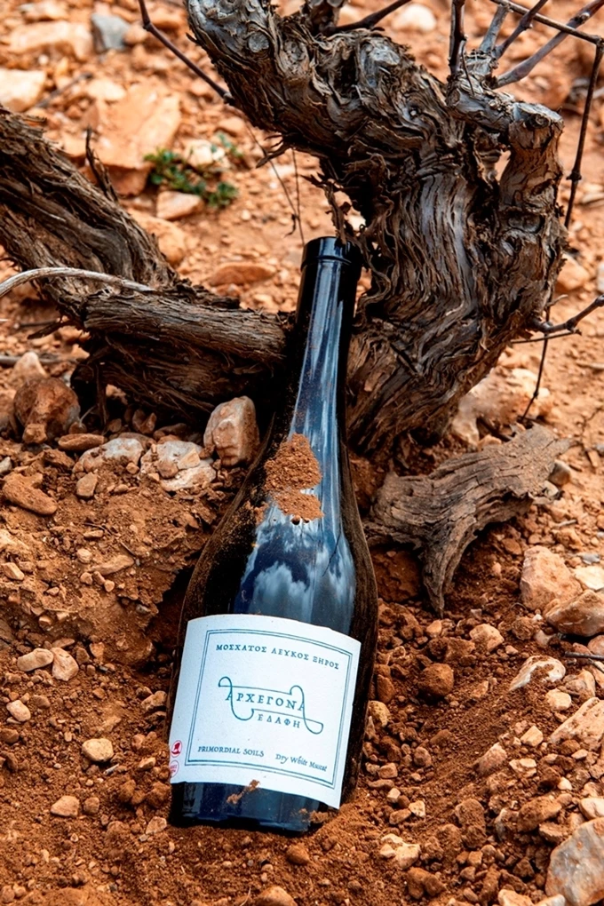 ΑΡΧΕΓΟΝΑ ΕΔΑΦΗ