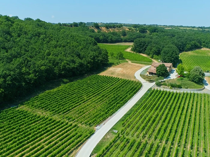 Εξερευνώντας τα ωραιότερα οινοποιεία της Βόρειας Ελλάδας