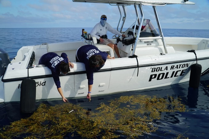 Άνθρωποι Γεμάτοι Πλαστικό