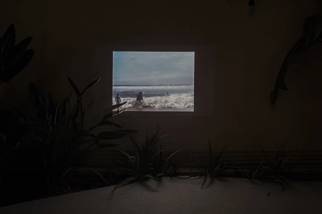 Άλκηστη Ευθυμίου, Κατερίνα