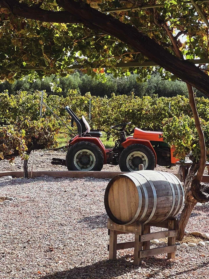 Οινοποιείο Χατζηεμανουήλ