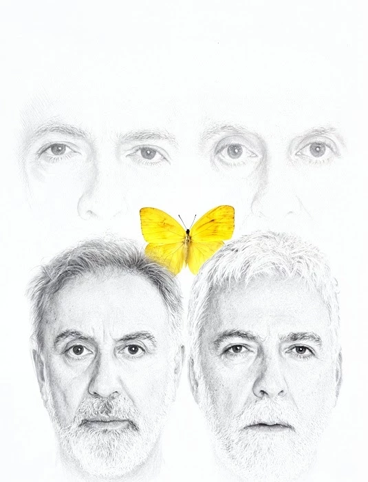 Παραλλαγές Πάπιας