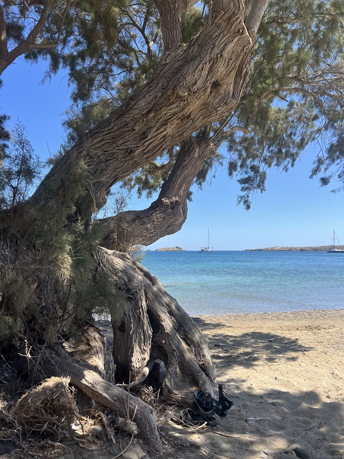 αστυπάλαια