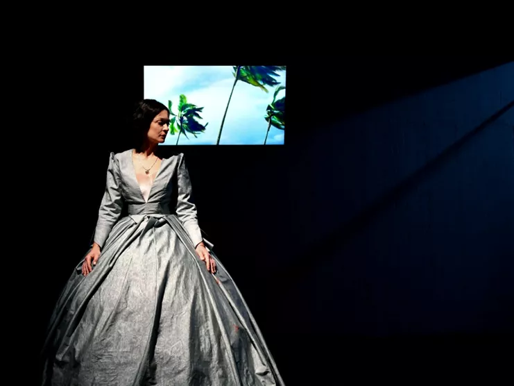 Amalia melancholia η βασίλισσα των φοινίκων