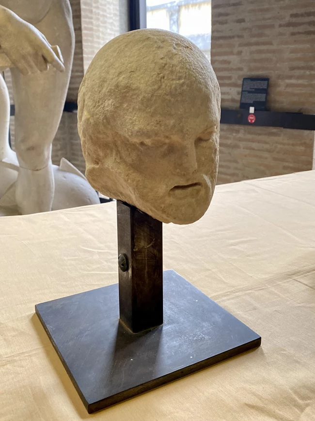 Γενειοφόρο ανδρικό κεφάλι