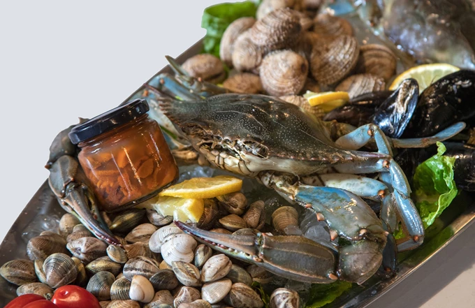 Seariani' Fish & More Σύρος εστιατόριο διακοπές