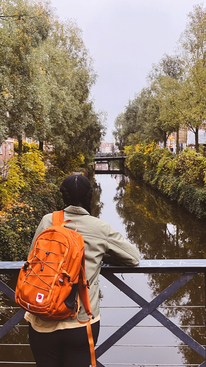 FJÄLLRÄVEN