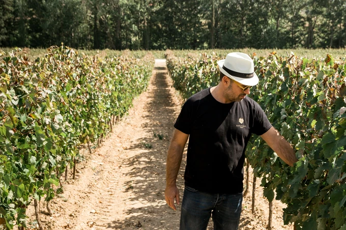 Οινοποιείο Μπαραφάκα