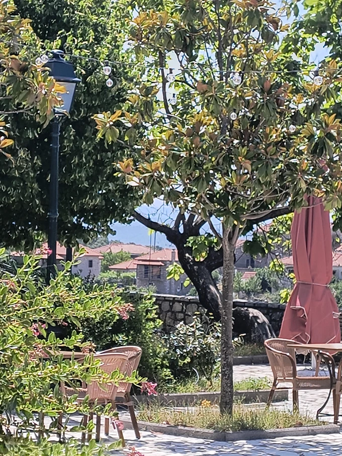 Σύρνα Γαστροκαφενές Αρκαδία
