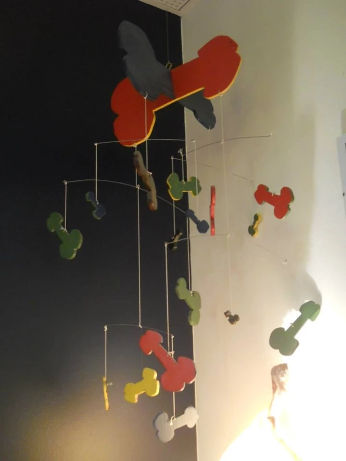 5. Το Μουσείο Πέους στην Ισλανδία