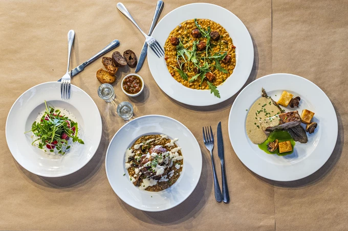 Το Μαύρο Πρόβατο 4