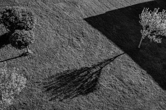 Mind the Gap ή Ιστορία και Ειρωνεία