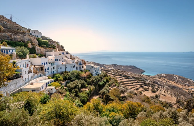Καρδιανή