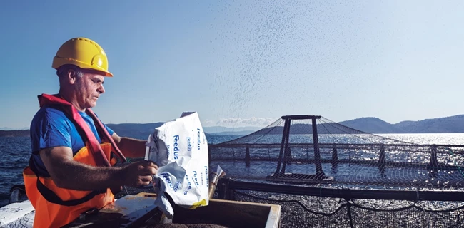 ΕΛΟΠΥ Ιχθυοκαλλιέργεια Fish from Greece