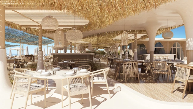 The Lemon Tree and Co