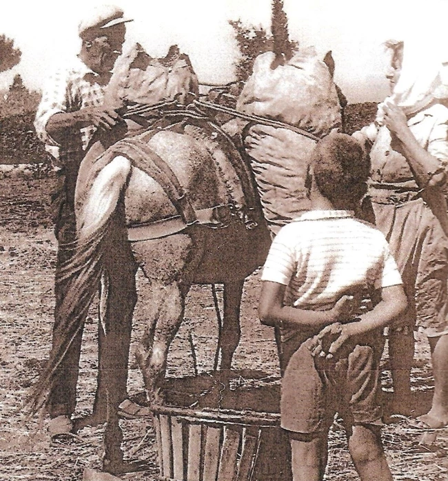 Γιατί έπρεπε να δημιουργηθεί ο Συνεταιρισμός της Σάμου;