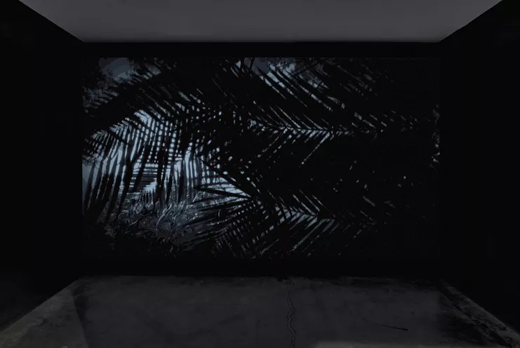 Hajra Waheed, «The Spiral» (2019), Video Installation, 7m 10s. Courtesy of the Artist. Image by Toni Hafkenshied.