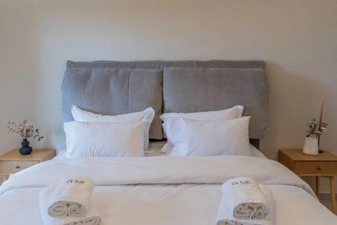 Olive Boutique Villas