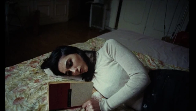 Τα φύκια στα μαλλιά σου