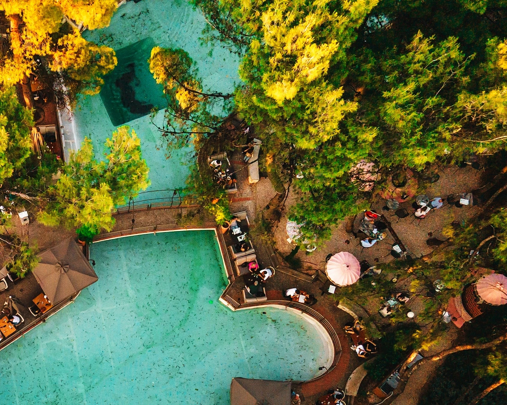 Ο τέλειος αθηναϊκός κήπος υπάρχει στου Παπάγου