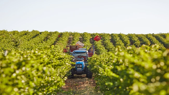 Κτήμα Χατζημιχάλη