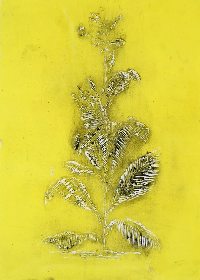 Μαρίνα Προβατίδου. Τα άνθη του καπνού