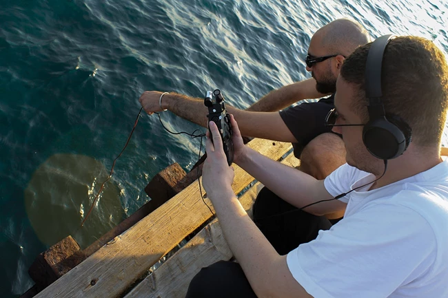 Δίκτυο αρχιπέλαγος