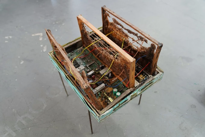 Nidus Ειρήνη Ταμπασούλη