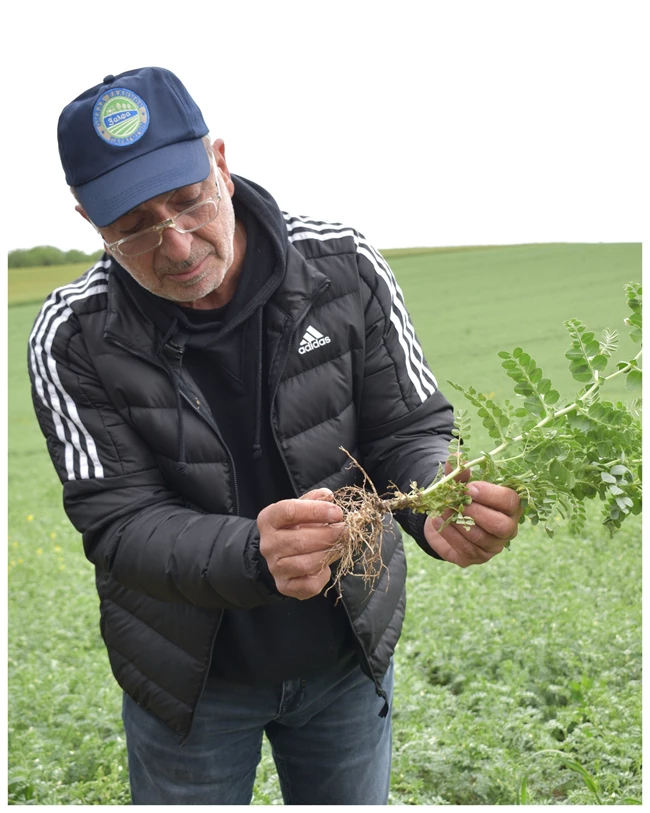 3άλφα παραγωγοί