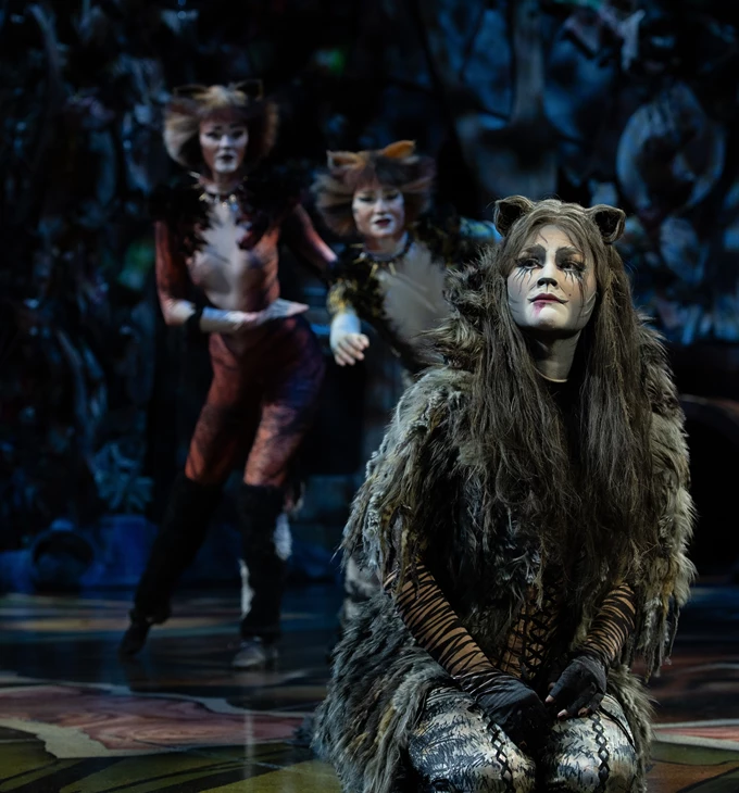 Cats Christmas Theater