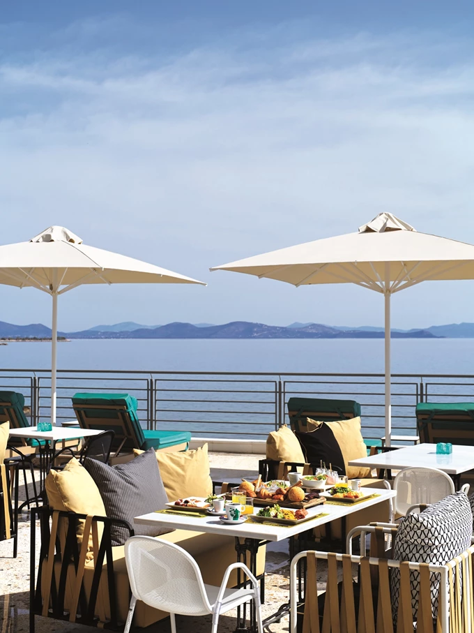 The Neighbors By The Sea