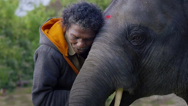 The Elephant Whisperers