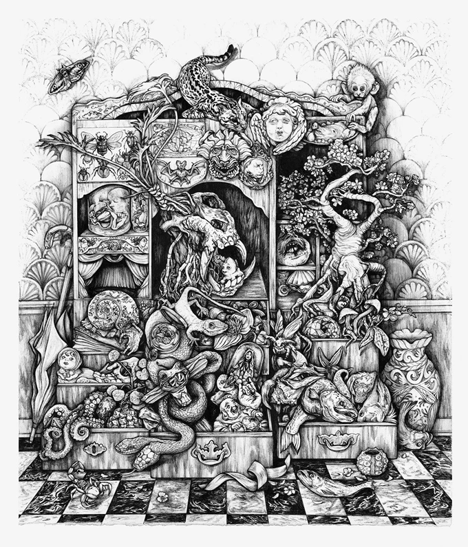 a Cabinet of Curiosities