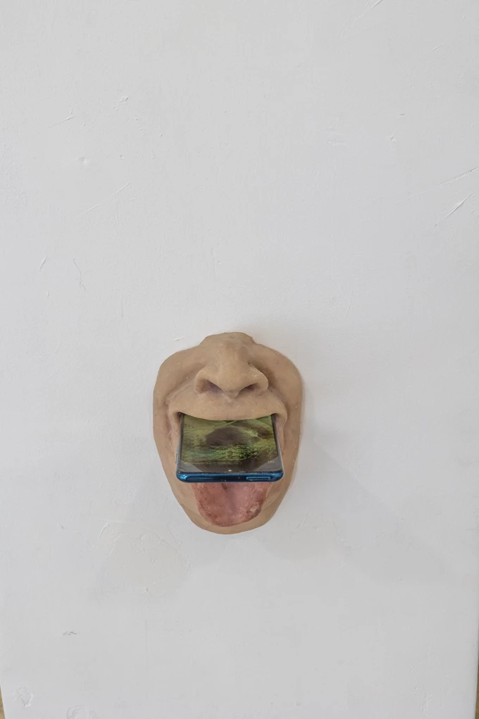 Captain Daddi Radical Rest