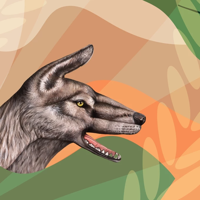 Guido Daniele Handimals