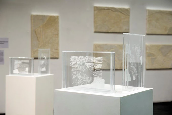 Προϊστορία ή Καταγωγή