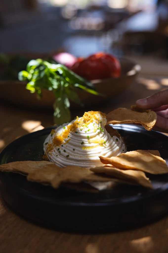 Πιάτα Alemagou 13