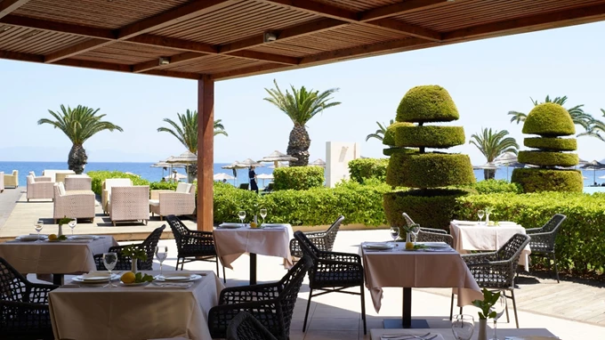 migliones rhodes