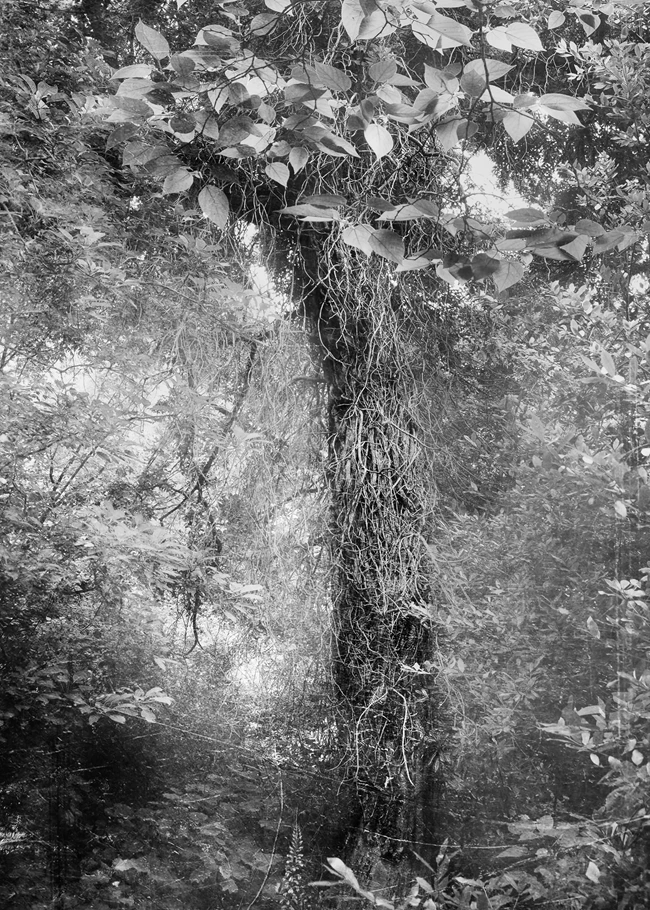 Σταύρος Χαρισόπουλος Common Factor