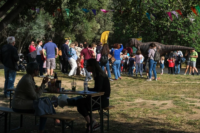 Athens Urban Picnic