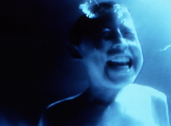 Bill Viola Angel’s Gate