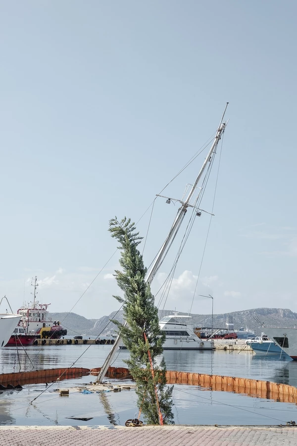 Στάχυα πέφτουν σε τσιμεντένια επίπεδα