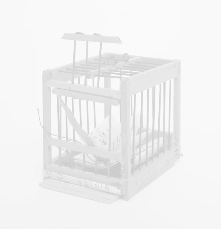 Elisabetta Gut, Libro ingabbiato (Book in a Cage),  2019  assemblage: wooden and iron cage, fabric, rope, paper, ink 5,3 x 3,4 x 5 cm