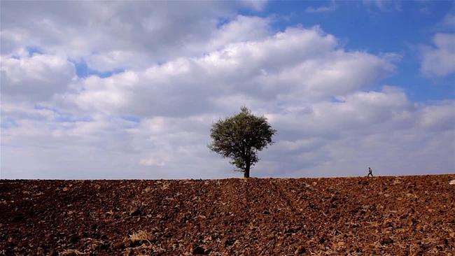 Down to Earth Χρύσα Τζελέπη- Άκης Κερσανίδης (anemiCinema)