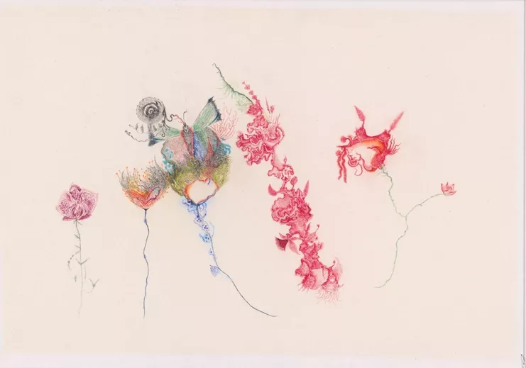 Βαλεντίνα Μπαρτολίνι, "Bougainvillea", 2025, Colour pencils and pastels on Lamali Natural Paper, made in Nepal (Handmade Kozo Bamboo paper, a blend of vegetable fibres on Lokta), 67 × 97 cm unframed, courtesy the artist